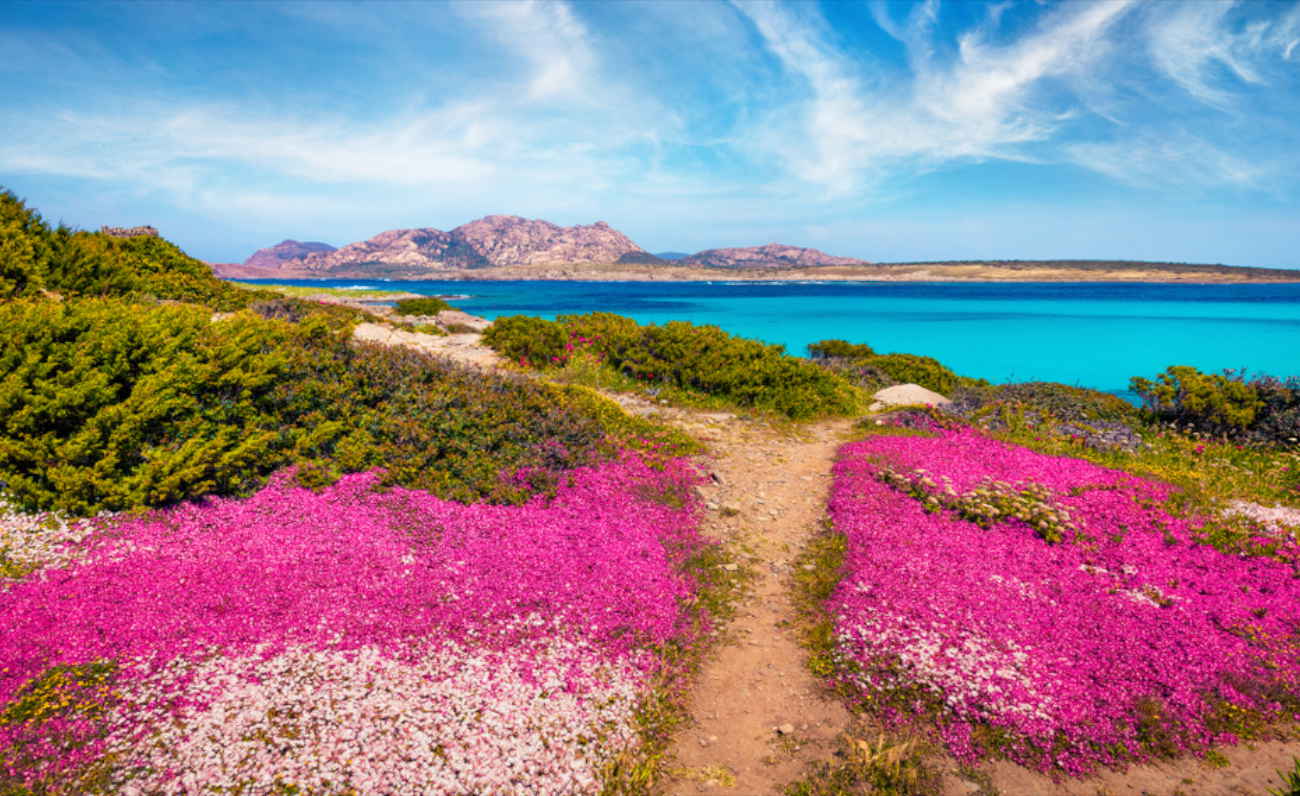 La Primavera dei comuni