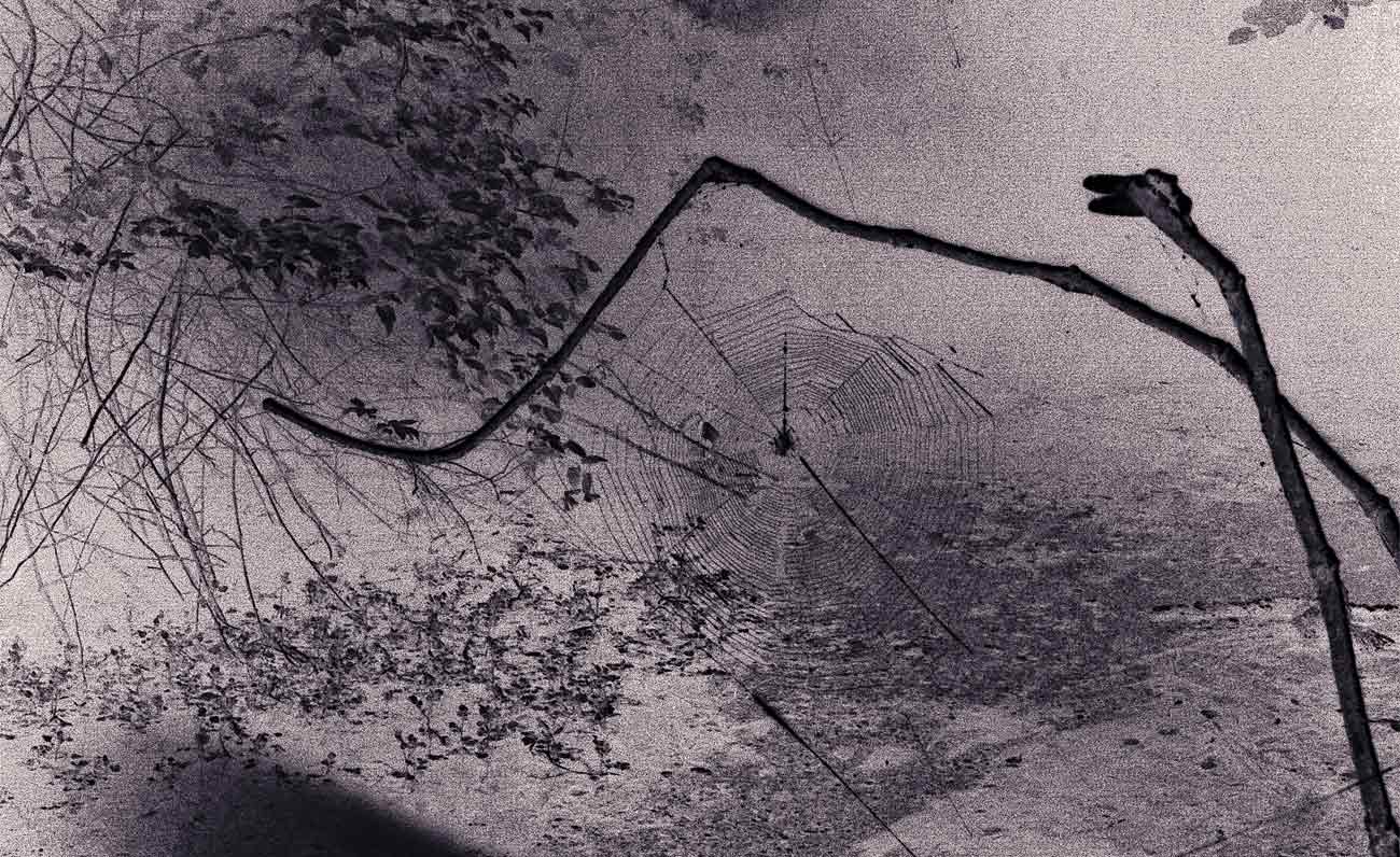 Linee di paesaggio, i vincitori della terza edizione