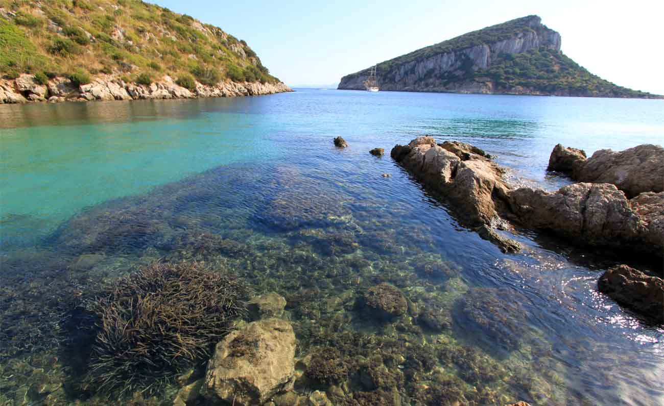 Con “Fioriamo” Golfo Aranci si trasforma in un giardino