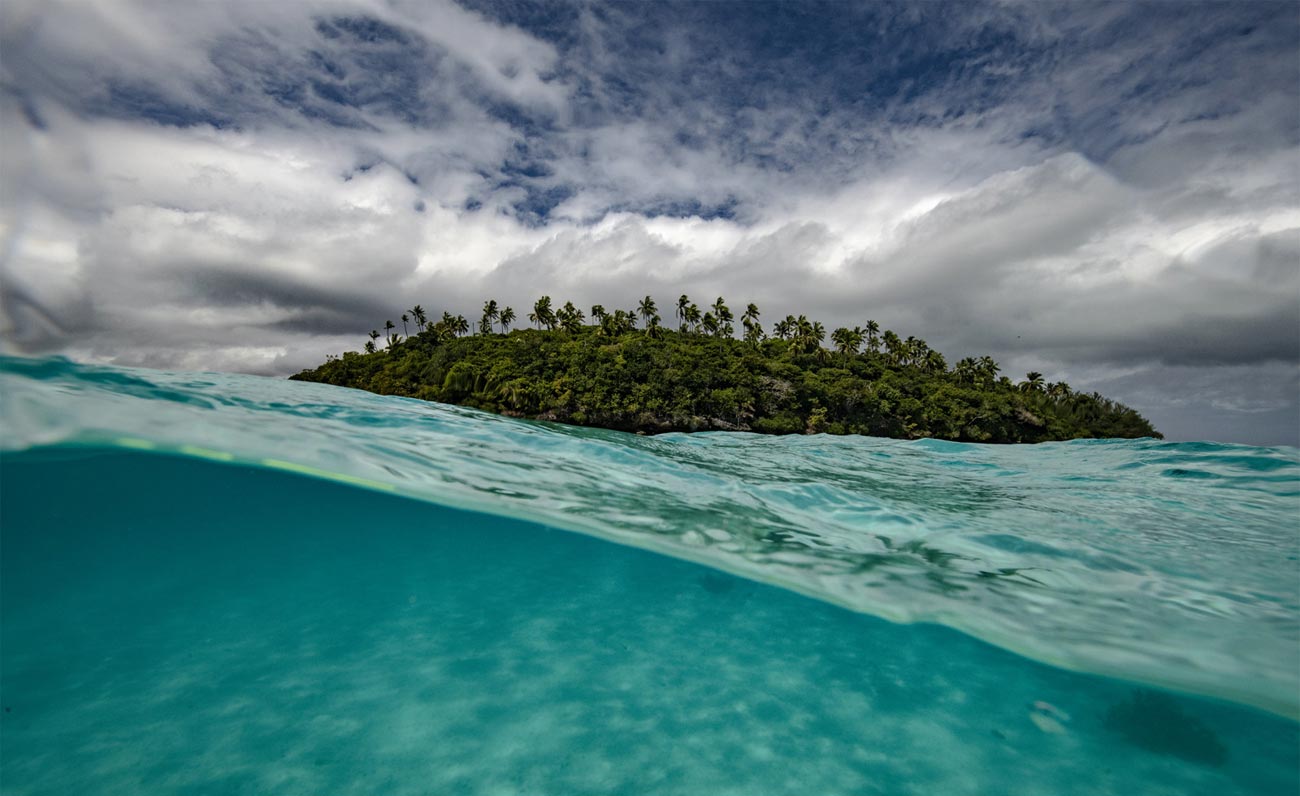 La tutela del mare secondo One Ocean Foundation