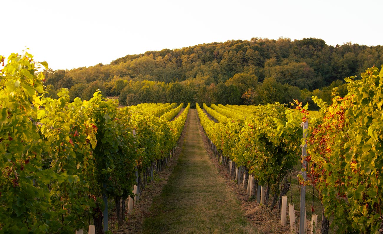 Siddùra prosegue la sua rivoluzione sostenibile