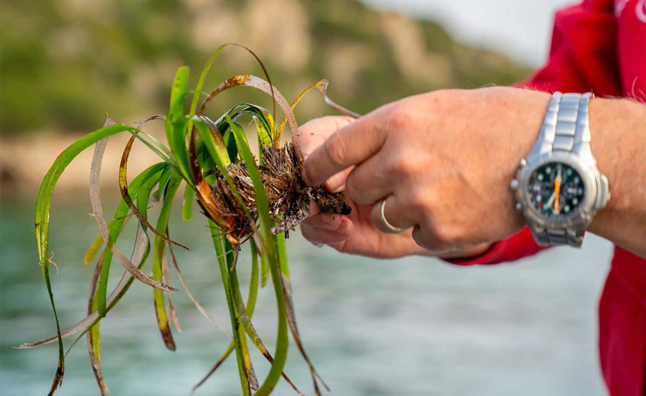 Un 2022 straordinario per Worldrise onlus