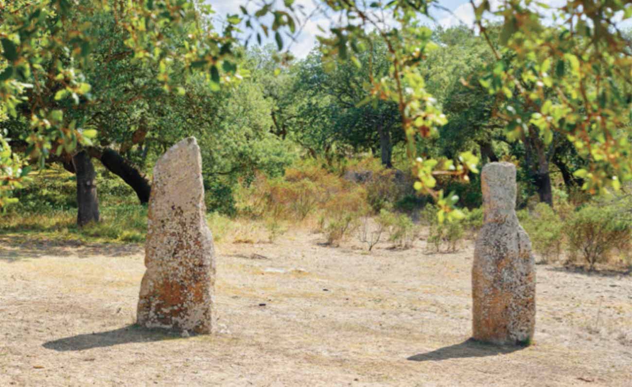 Quattro mostre da non perdere al Man di Nuoro