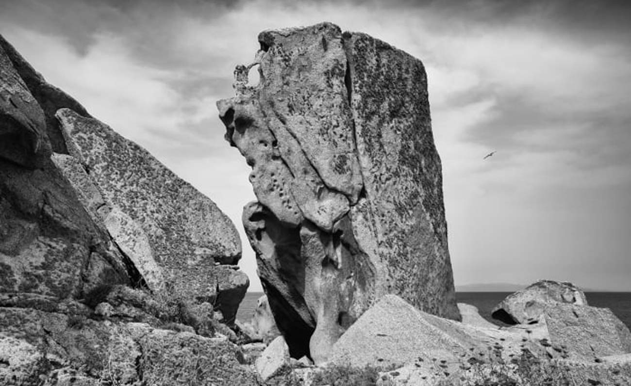 Gianluca Chiai, Mare protetto