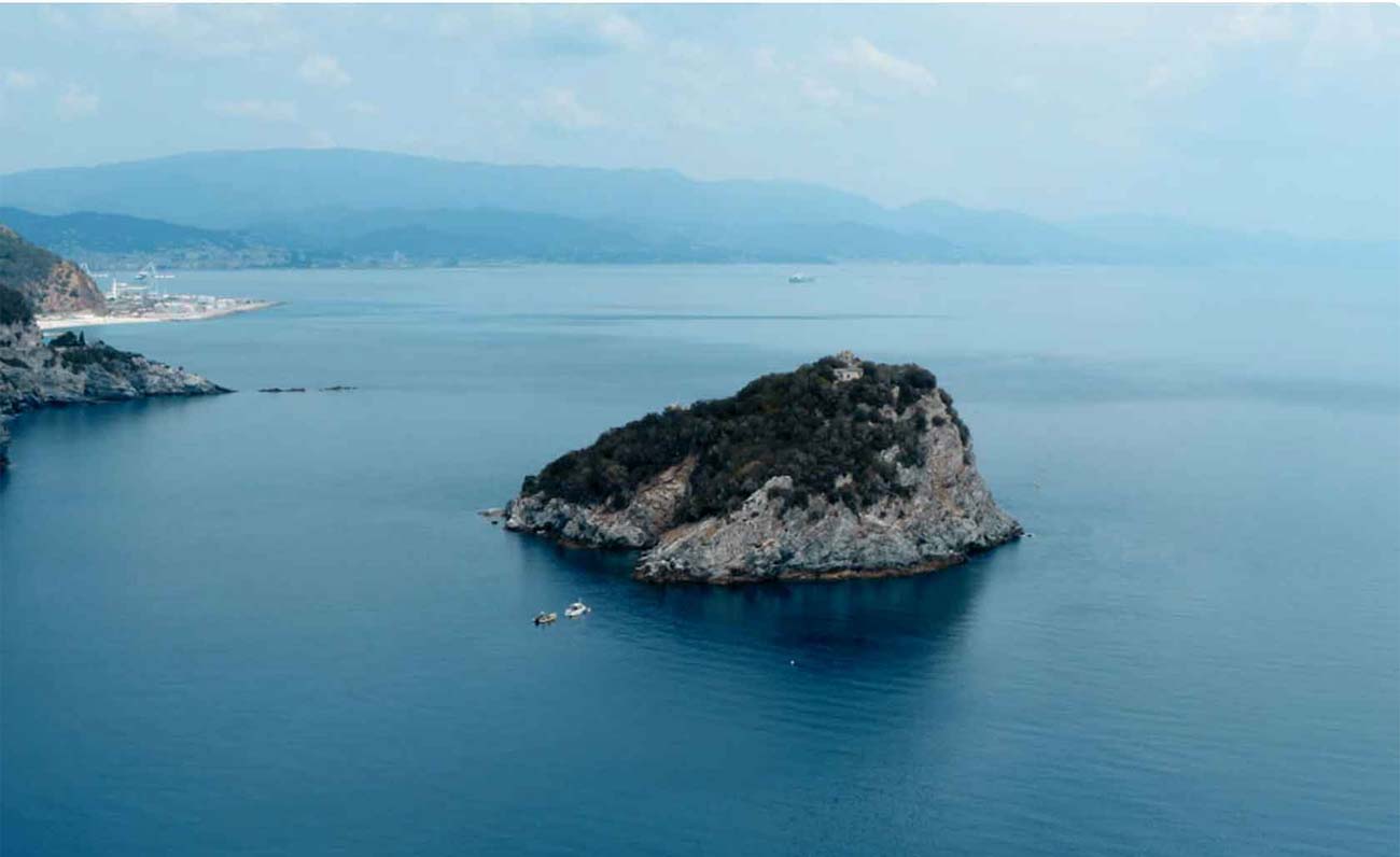 One Ocean Foundation in difesa della Posidonia