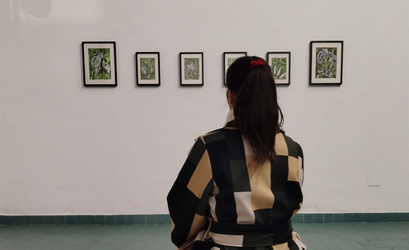 Biocene: botanica, arte e biologia in una mostra a Cagliari