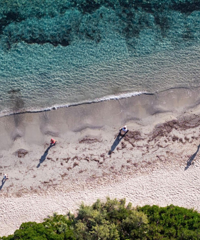 Longevity Weeks, Walking Experience