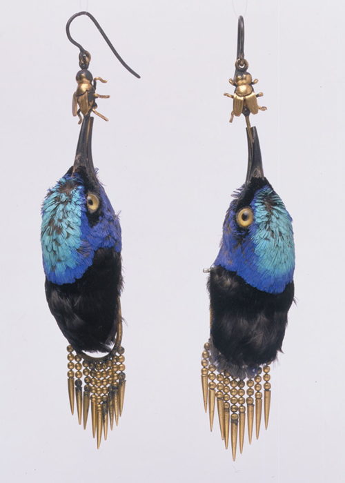 Photo- Earrings made from heads of Red Legged Honeycreeper birds, circa 1875 © Victoria and Albert Museum, London.